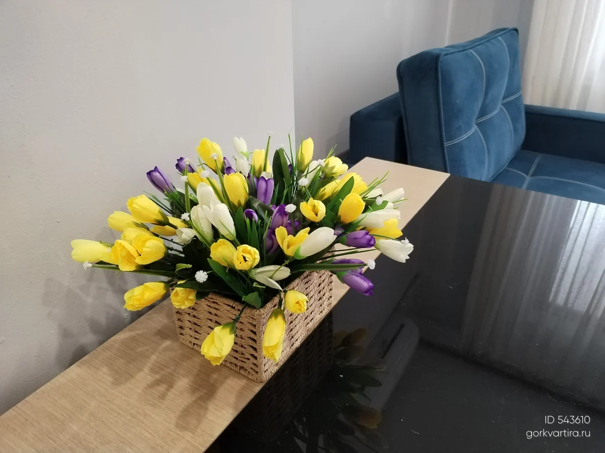 Квартира пр. кирова 7