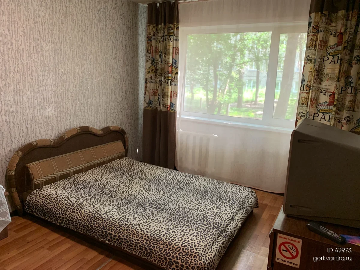 Квартира Толстого 47