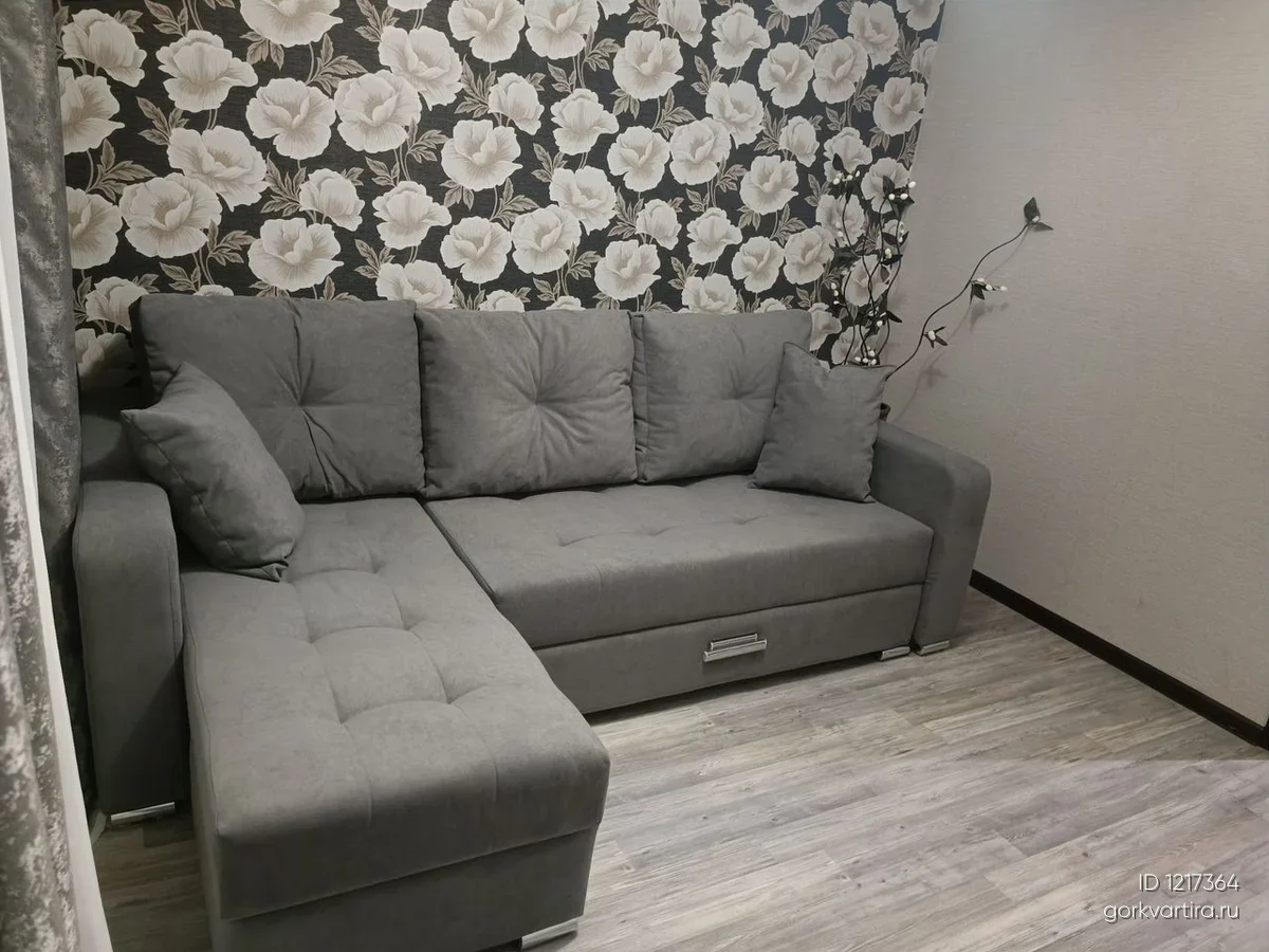 Квартира 5 просека 101