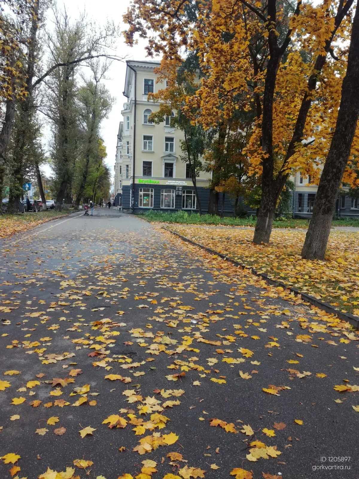 Квартира Октябрьский проспект19