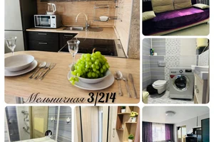 Квартира на сутки Уссурийск Мельничная 3