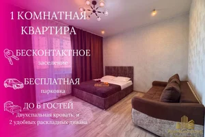 Квартира на сутки Уссурийск Францева 9