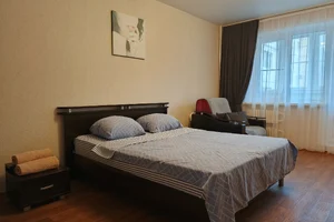 Фото 1-комнатная квартира в Воронеже, Московский проспект ,д.100