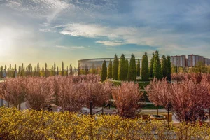 Квартира на сутки Краснодар ул. Героев-Разведчиков 8к4