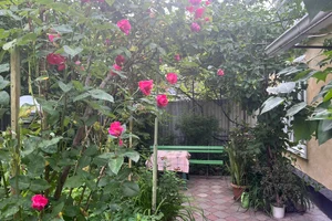 Фото 1-комнатная квартира в Ессентуках, ул. Гоголя, с парковкой у дома