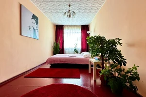 Квартира на сутки Барнаул Профинтерна,50