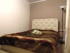 Фото 1-комнатная квартира в Барнауле, ул. Кирова 75