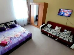 Фото 1-комнатная квартира в Барнауле, Антона Петрова 198