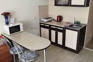 Фото 1-комнатная квартира в Барнауле, Антона Петрова 221д/1