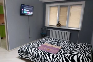 Квартира на сутки Могилёв Тимирязевская 34