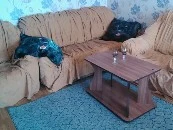 Фото 1-комнатная квартира в Барнауле, малахова 33