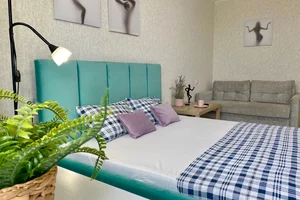 Фото 1-комнатная квартира в Туймазах, Мичурина 17д 