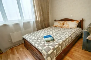 Квартира на сутки Фрязино Горького,7