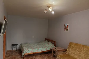 Фото 1-комнатная квартира в Нижнем Новгороде, ул. Дмитрия Павлова, 5