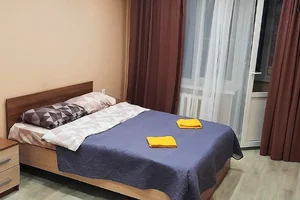 Квартира на сутки Самара Антонова-Овсеенко 18